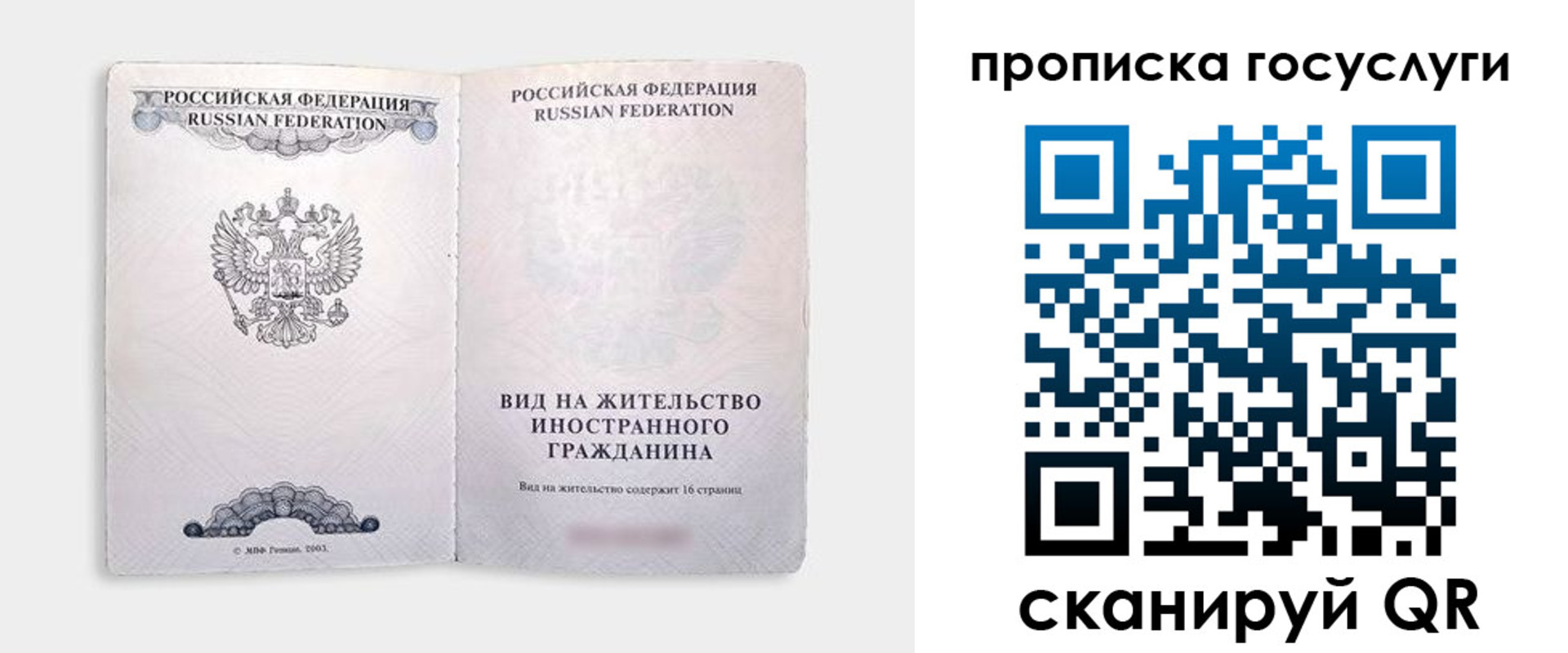 где прописаться в Вязьме